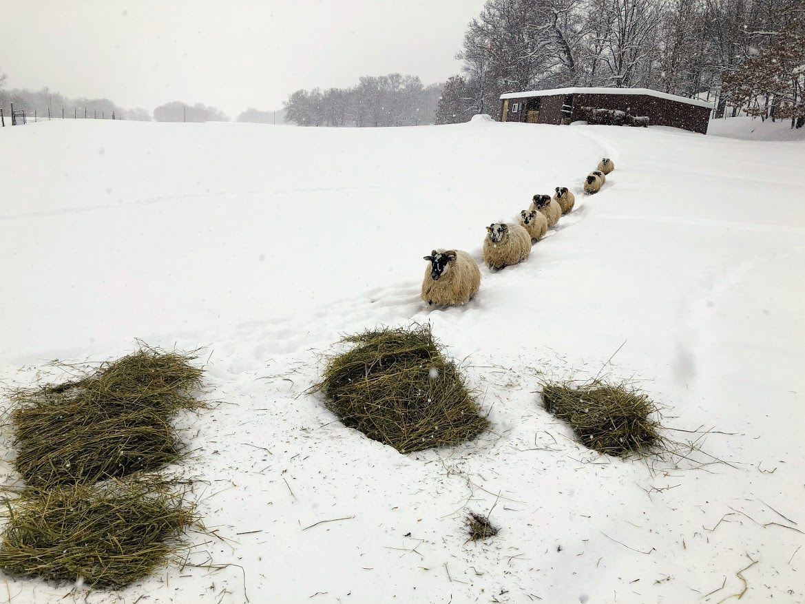 Feb. 12: Jackson County farm